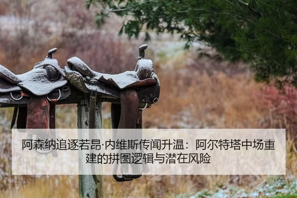 阿森纳追逐若昂·内维斯传闻升温：阿尔特塔中场重建的拼图逻辑与潜在风险