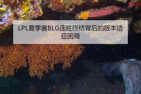 LPL夏季赛BLG连胜终结背后的版本适应困局